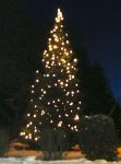 Weihnachtsbaum_2012